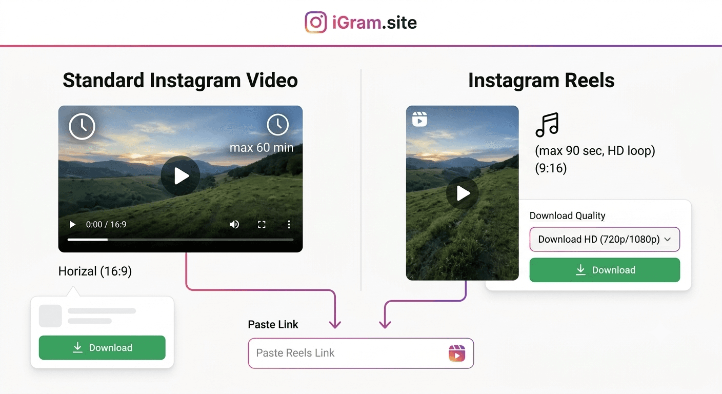 How to Download Instagram Videos Without a Watermark